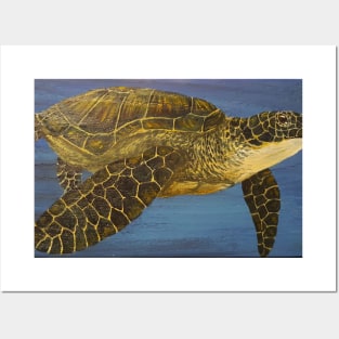 Sea Turtle Oldtimer Posters and Art